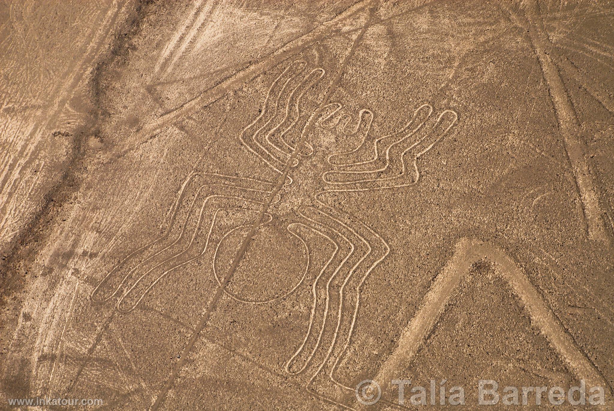 Nazca lines