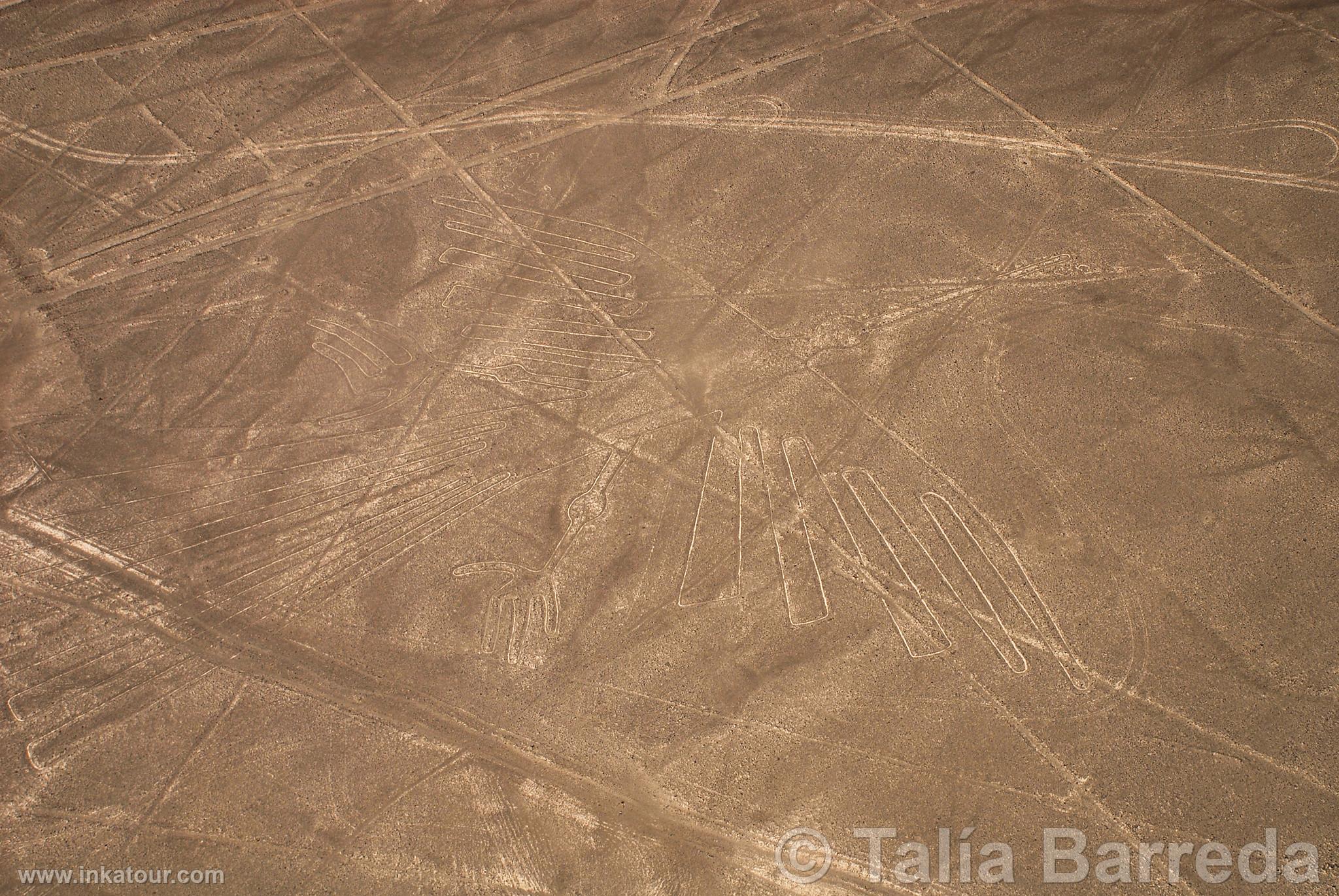 Nazca lines