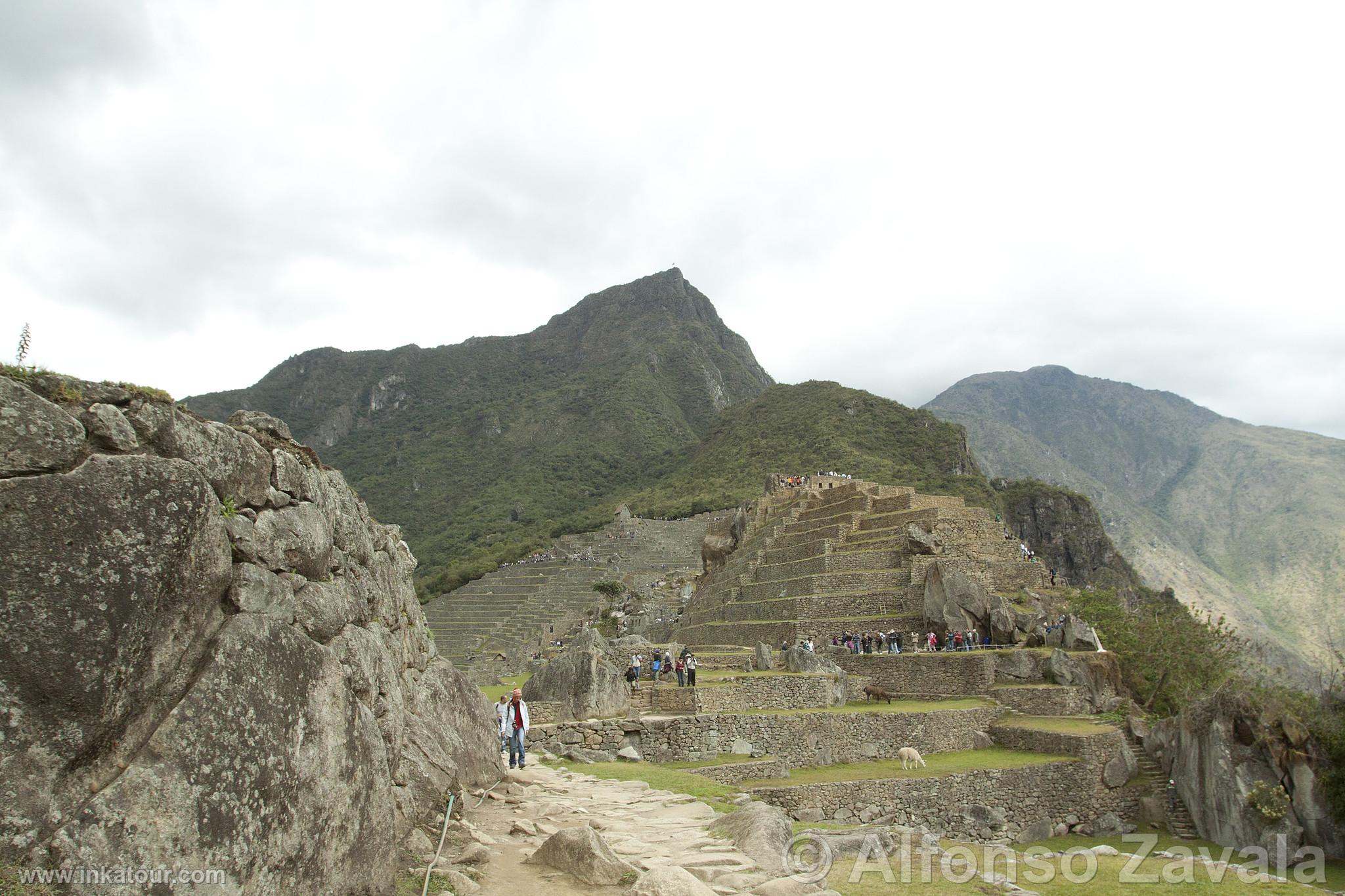 Machu Picchu