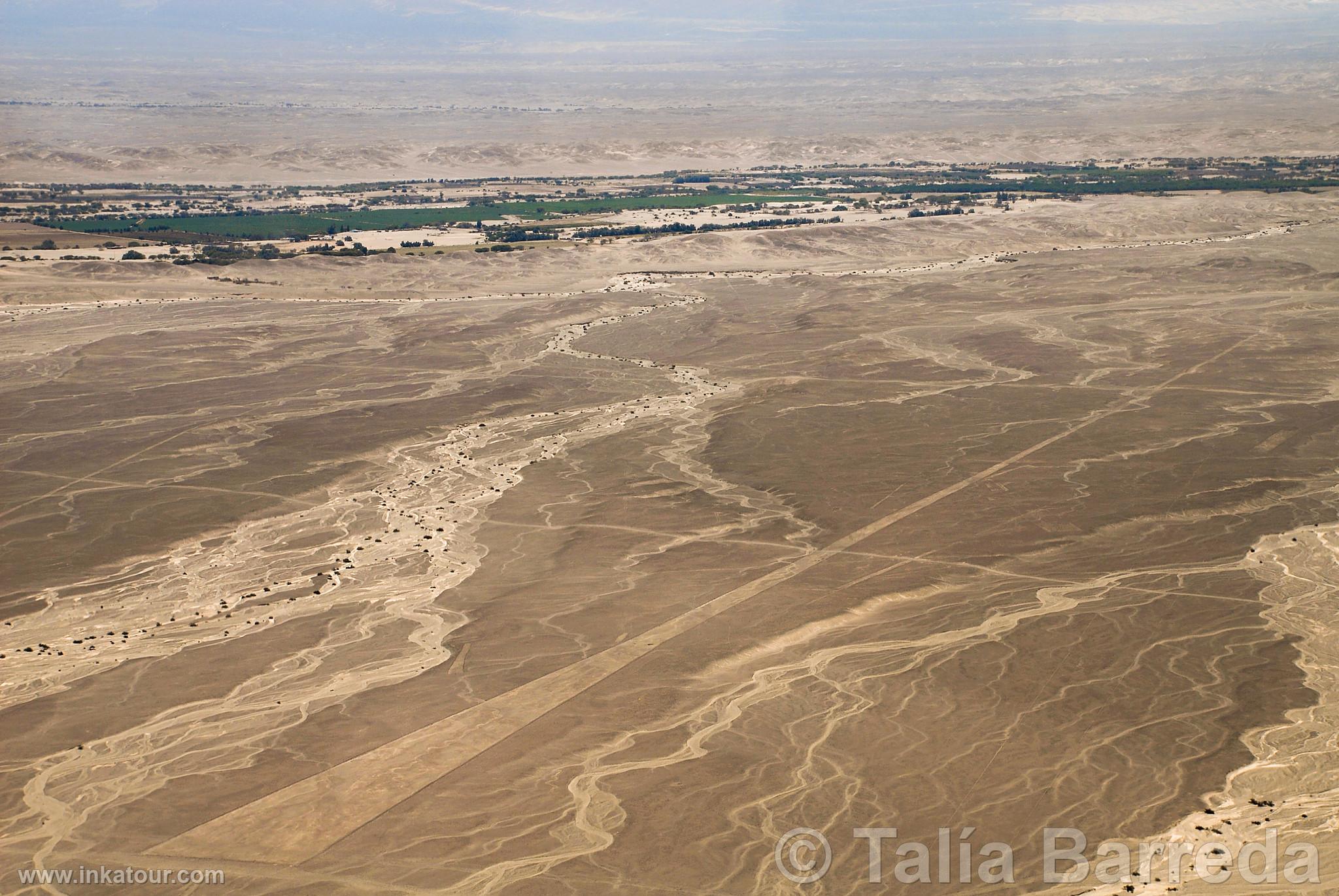 Nazca lines