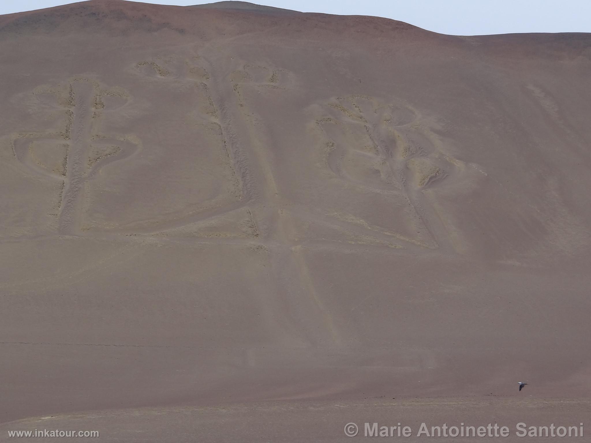 Ballestas, Paracas