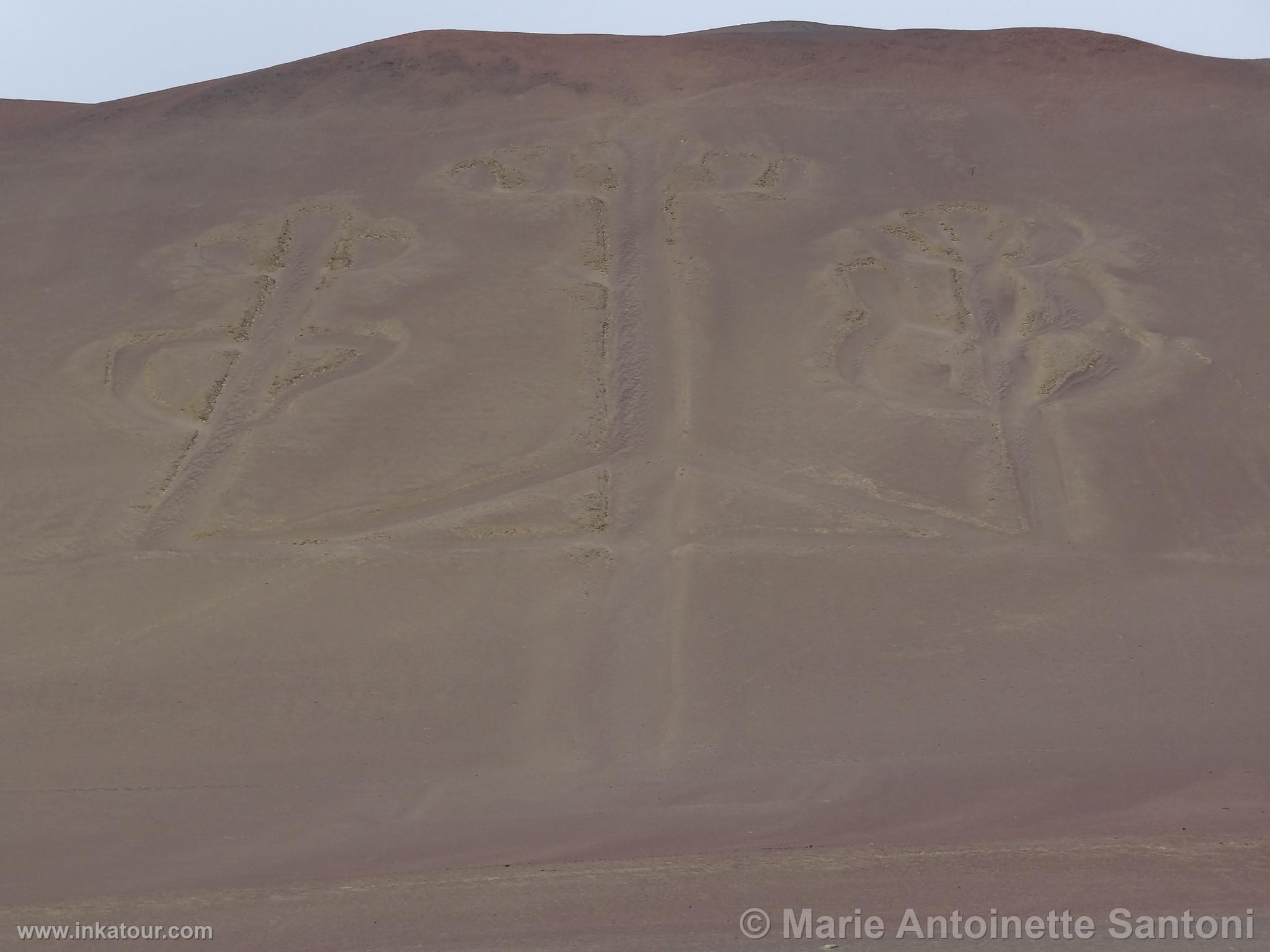 Ballestas, Paracas