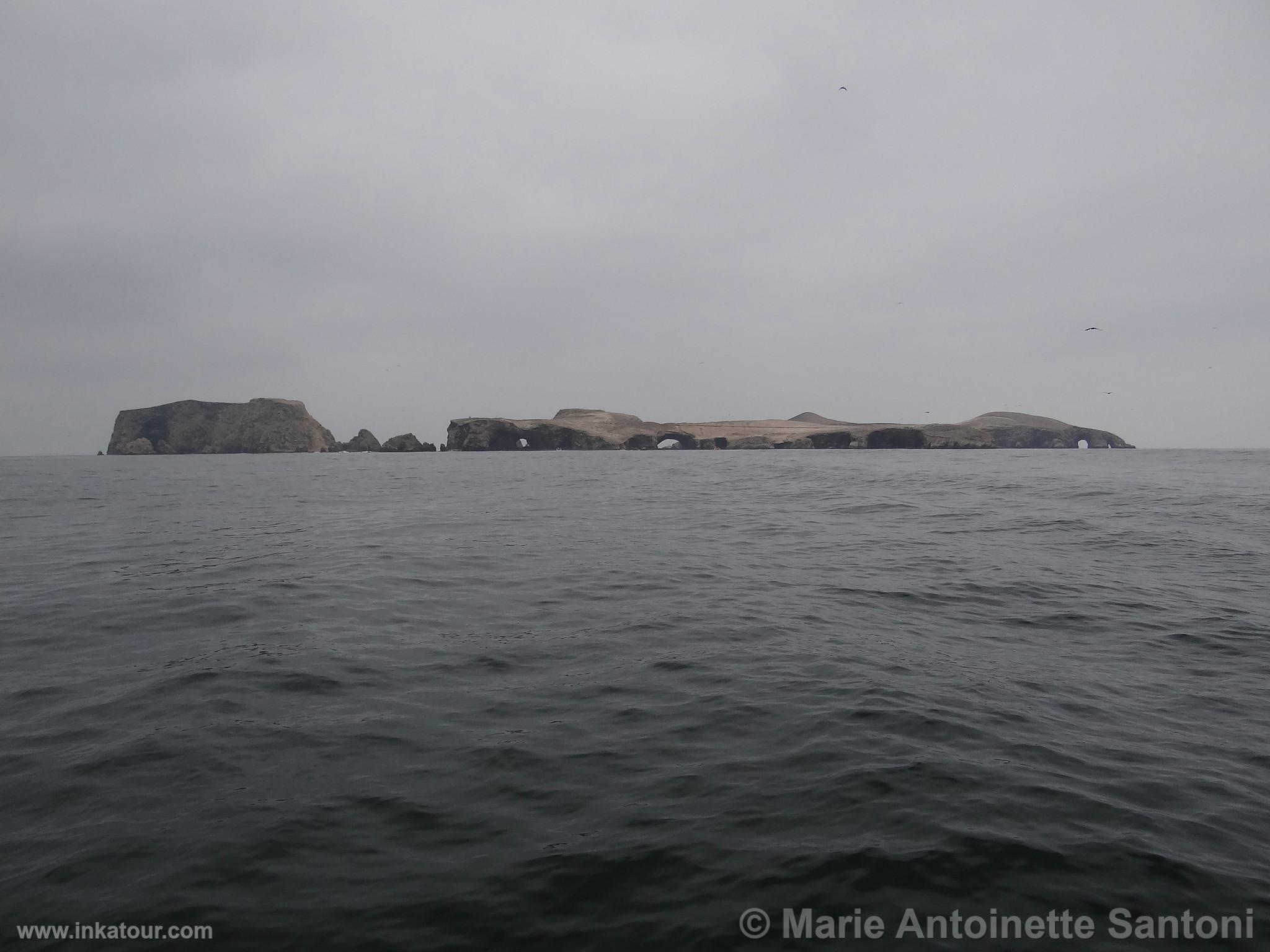 Ballestas, Paracas