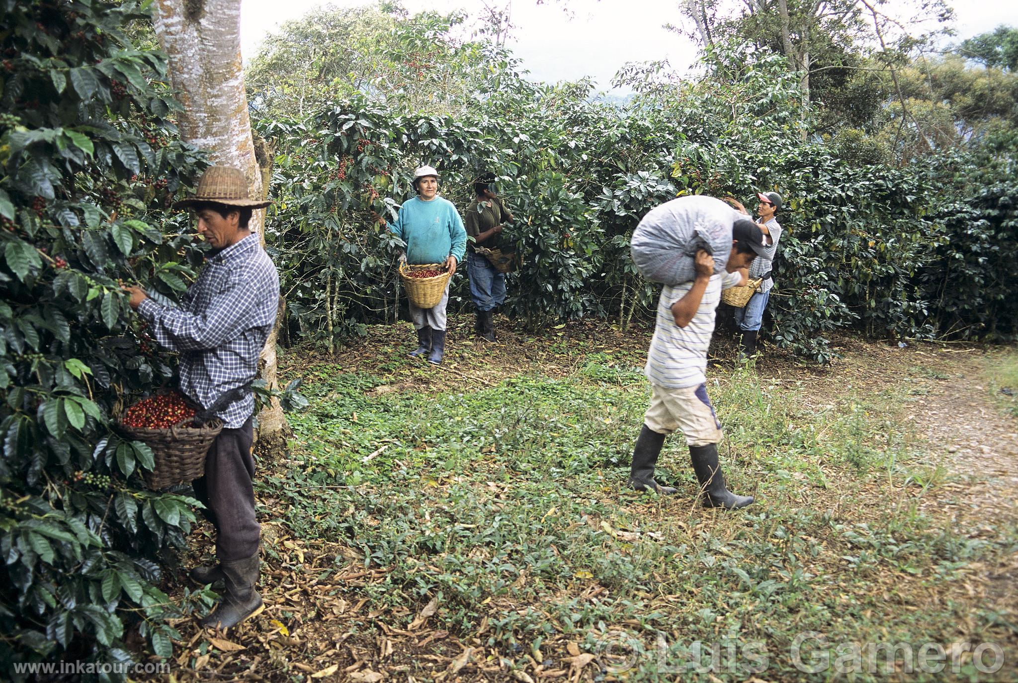 Photo of Peru