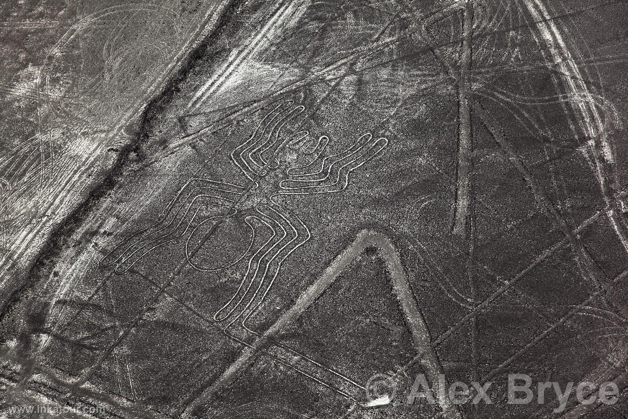 Nazca lines