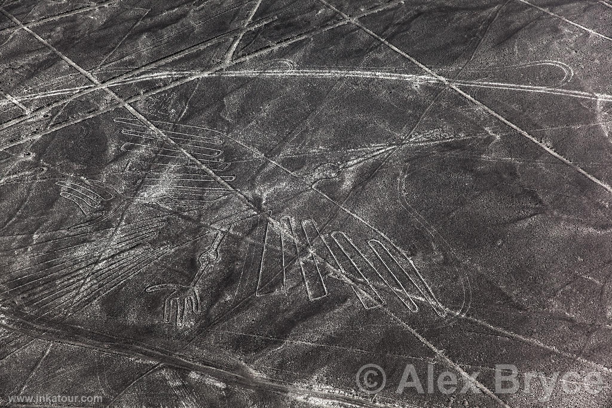 Nazca lines