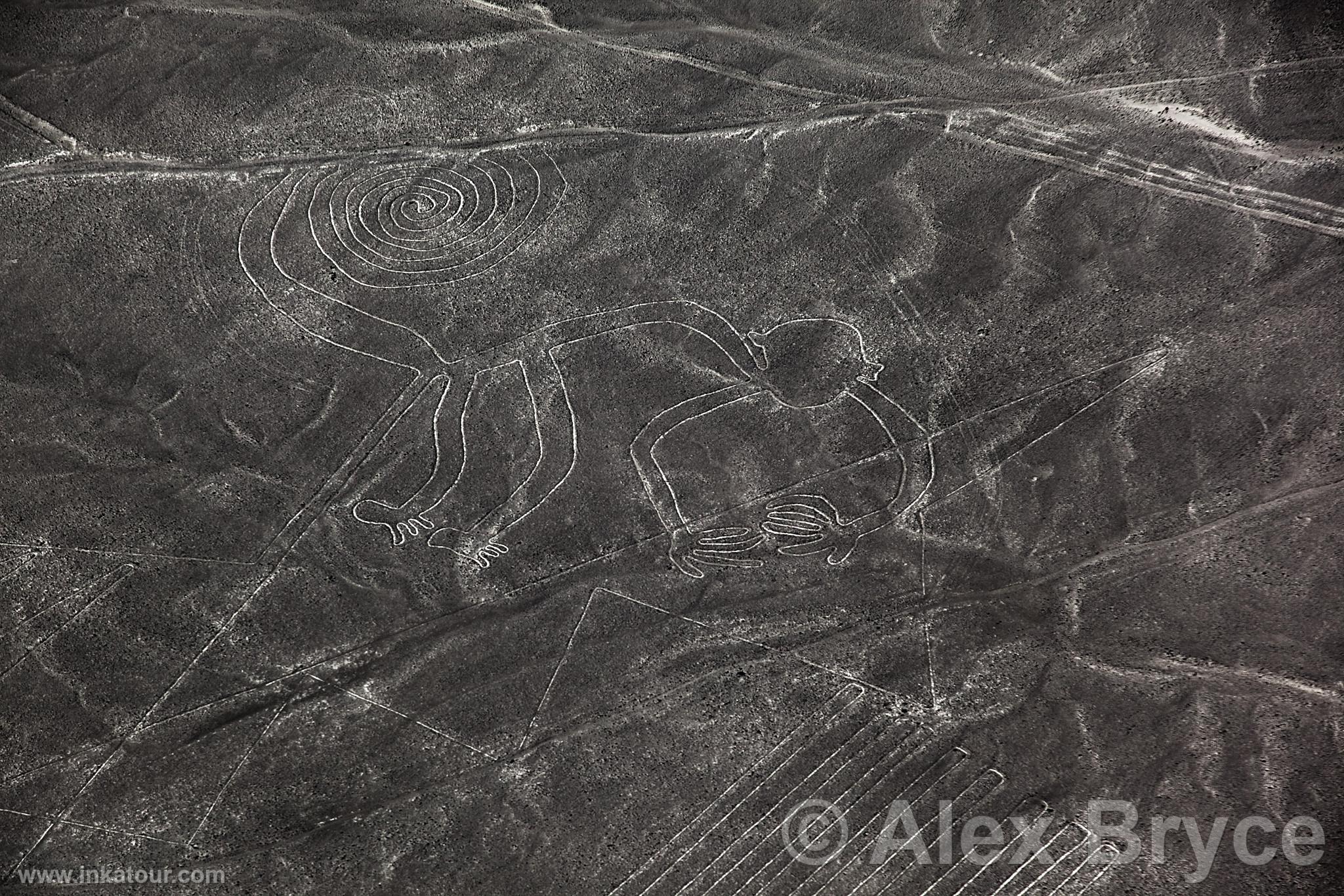 Nazca lines